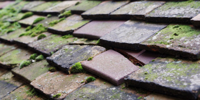 Edingdale roof repair costs